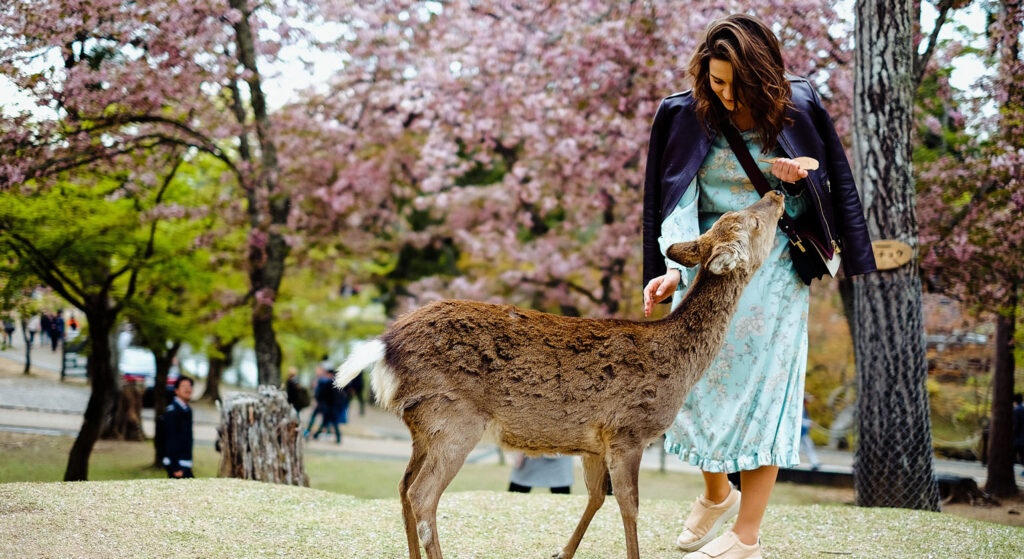 Best Tourist Cities in Japan - Nara