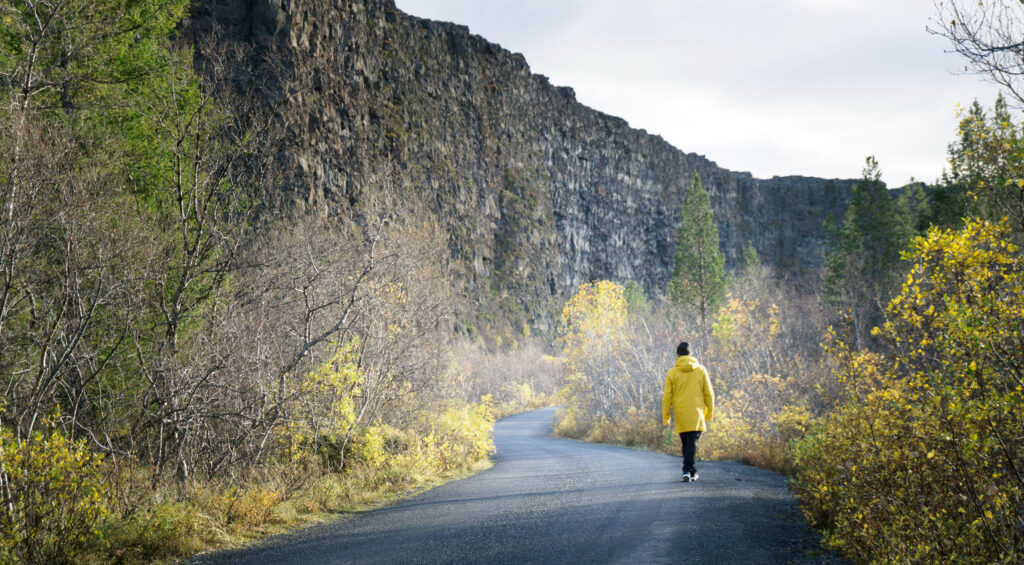 Best Places to Visit in Iceland - Ásbyrgi Canyon