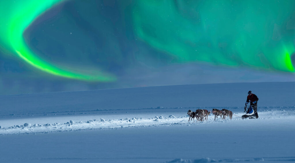 Best Places to Visit in Iceland - Dog Sledding