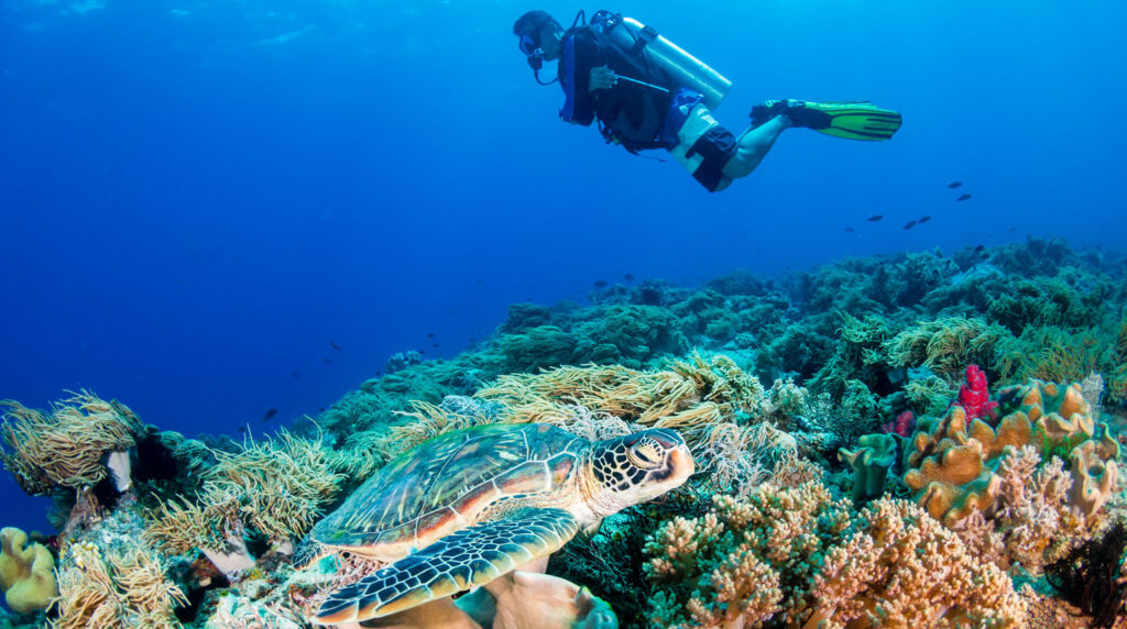 Great Barrier Reef, Australia