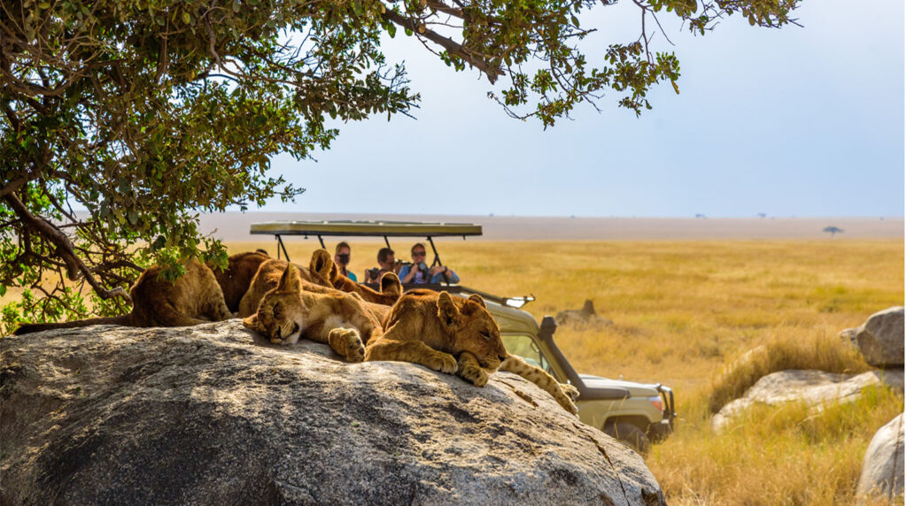 Serengeti National Park