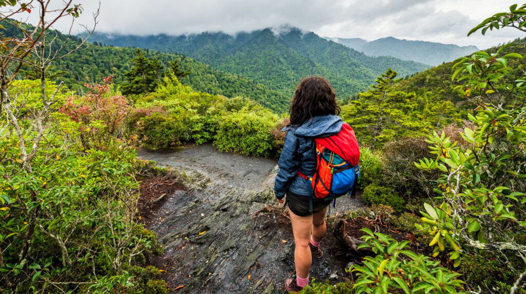 Smoky Mountains National Park