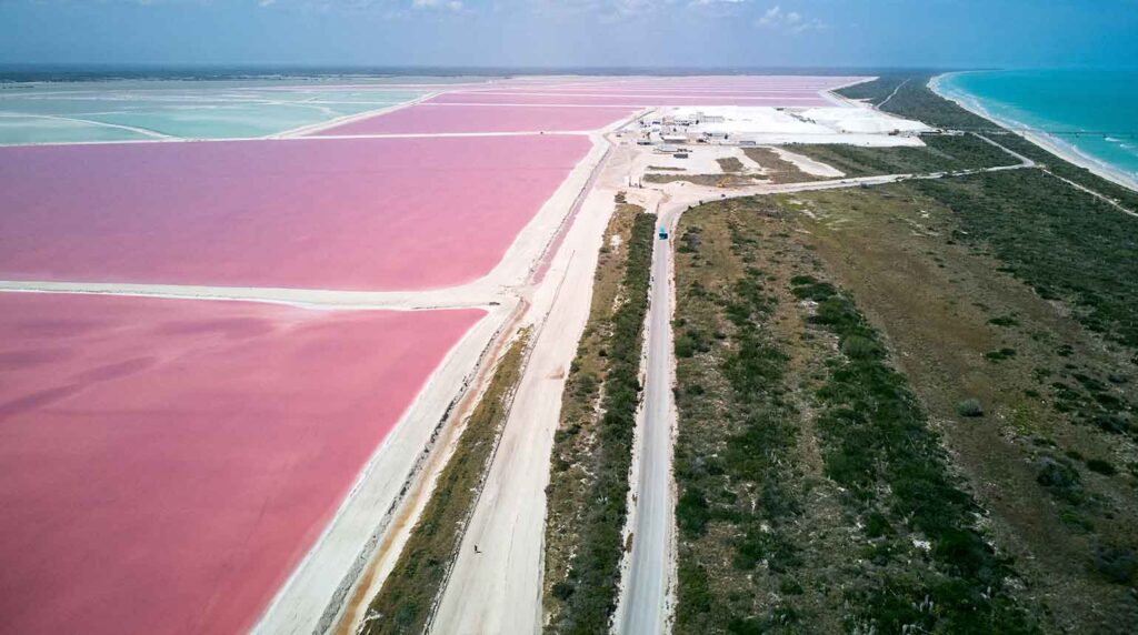 Las-Coloradas,-Mexico-Worthy-Travel-Spots-to-Visit-in-2025