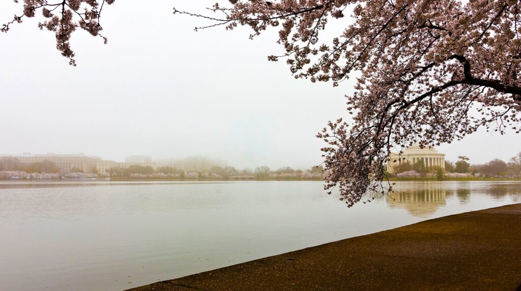 National Mall, tidal basin